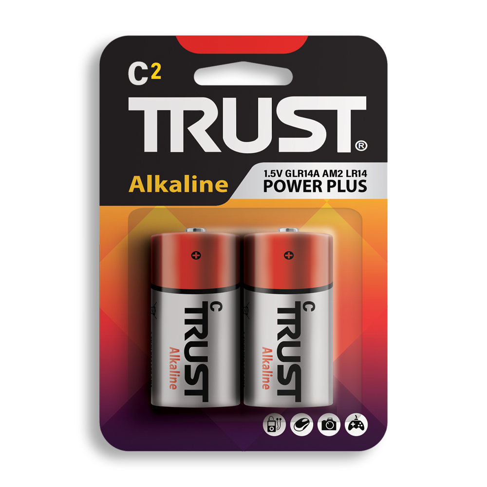 Alkaline C Size 1.5V–Pack of 2