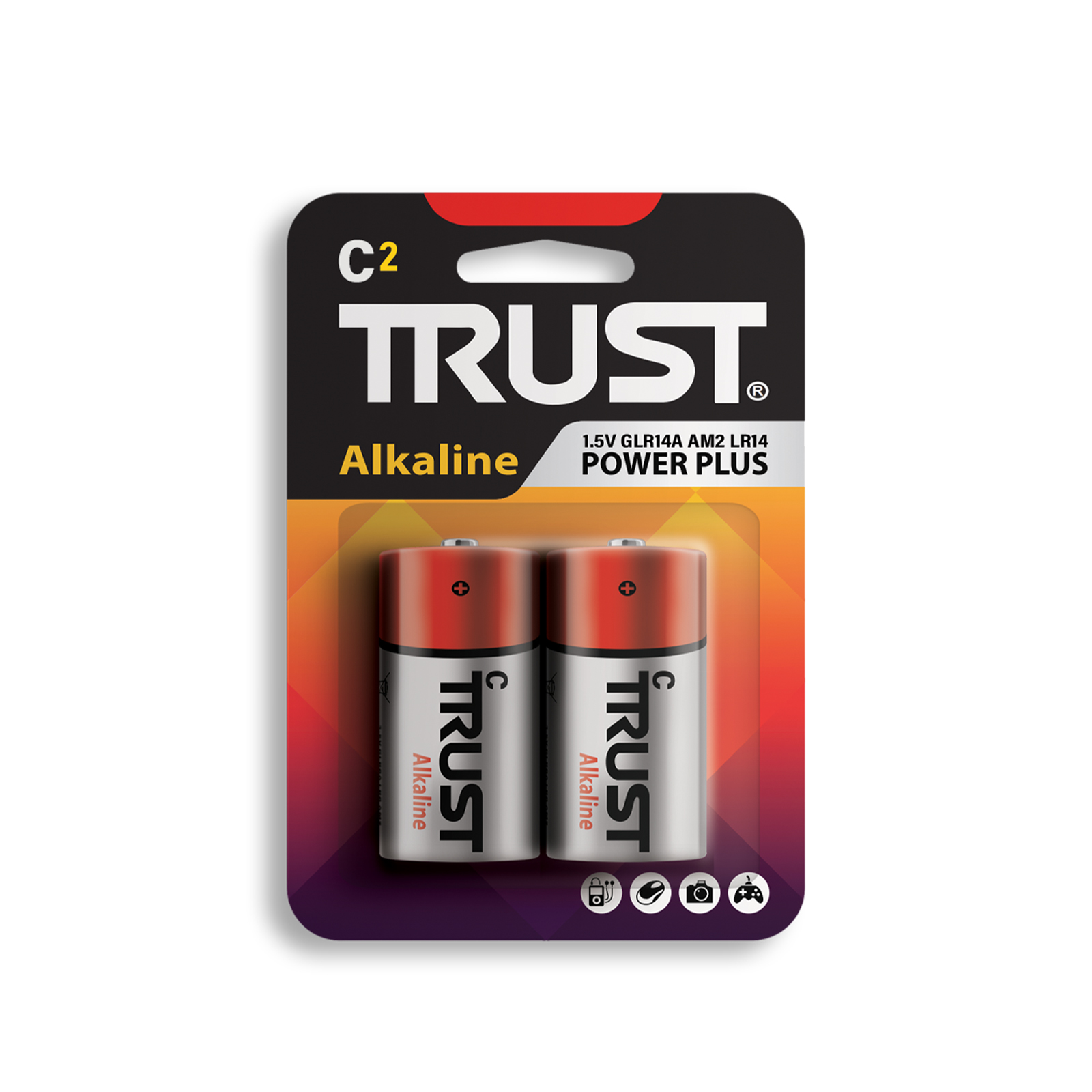 Alkaline C Size 1.5V–Pack of 2